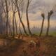 Antique French Painting Landscape From 19th Century