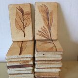 Roger ceramic tiles herbarium model
