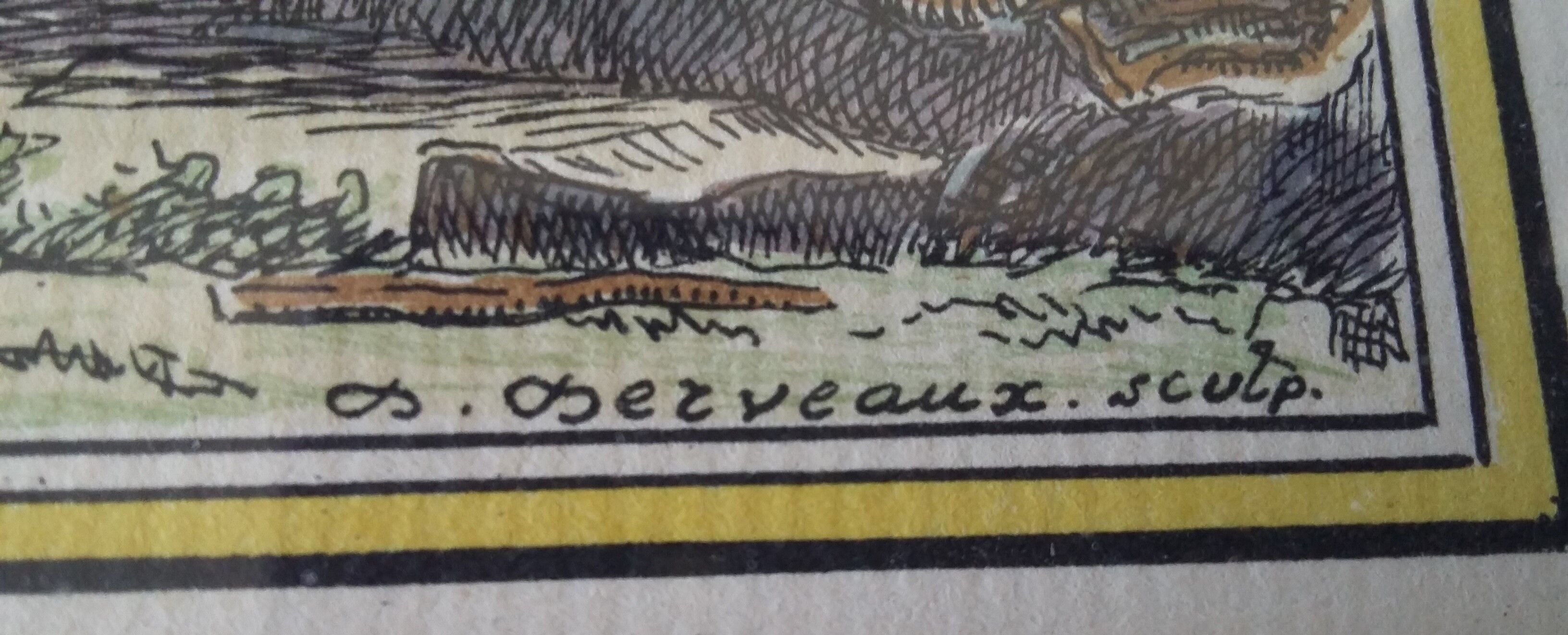 Golden framed bird cockatoo