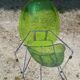 3 chaises Pedrali Gliss 921