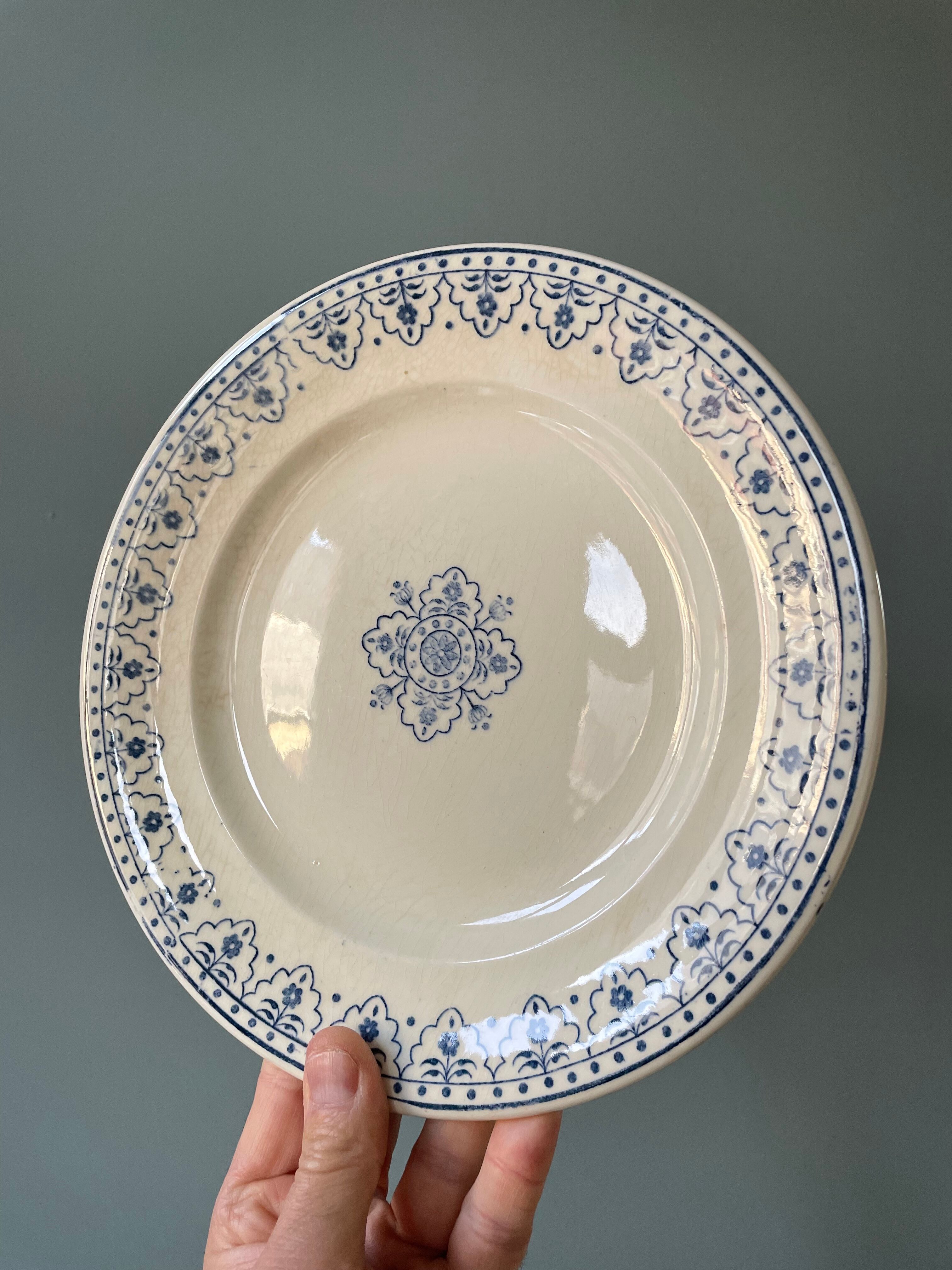 Series of 12 flat plates XIXth earthenware Terre de Fer Clairefontaine