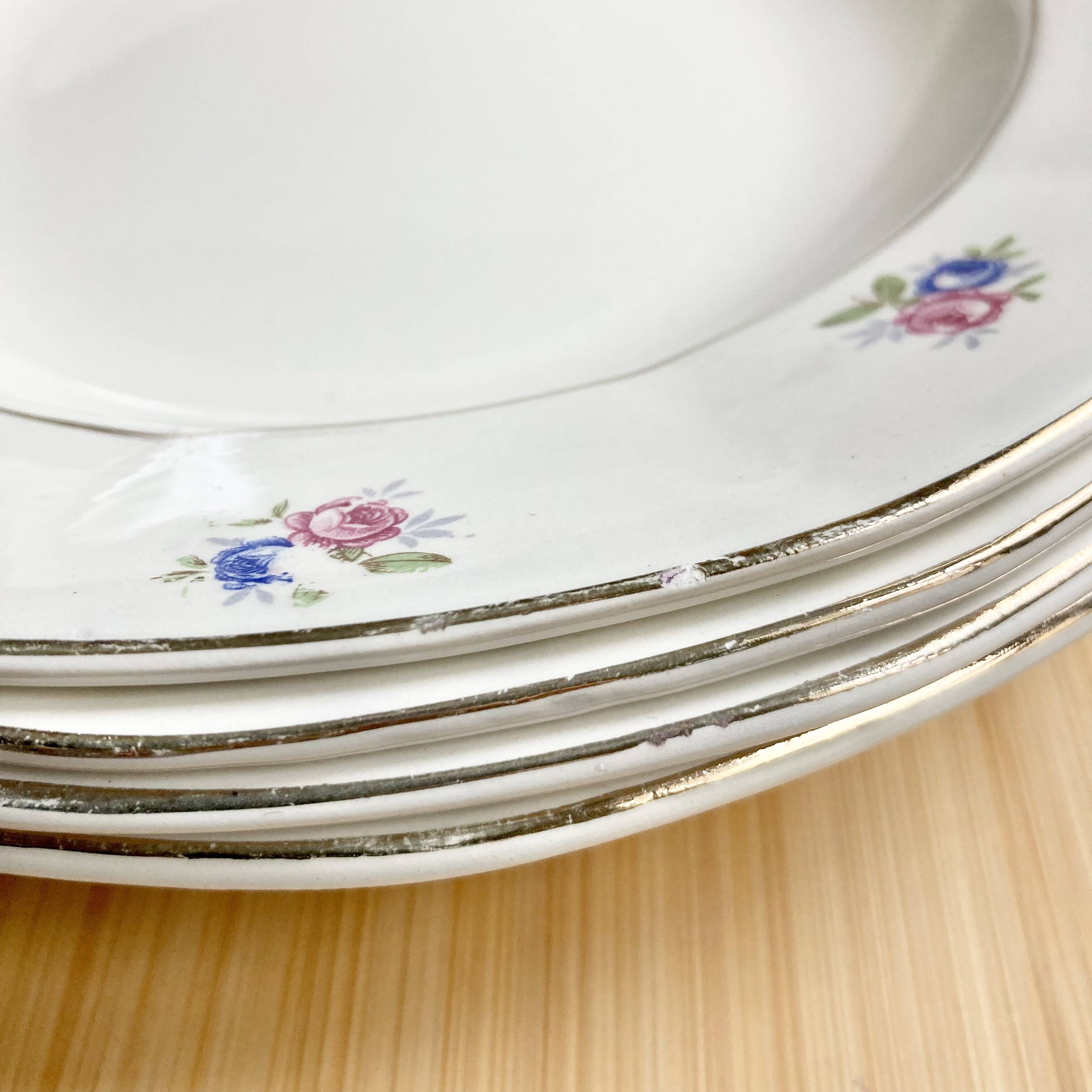 6 Digoin soup plates