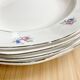 6 assiettes creuses Digoin