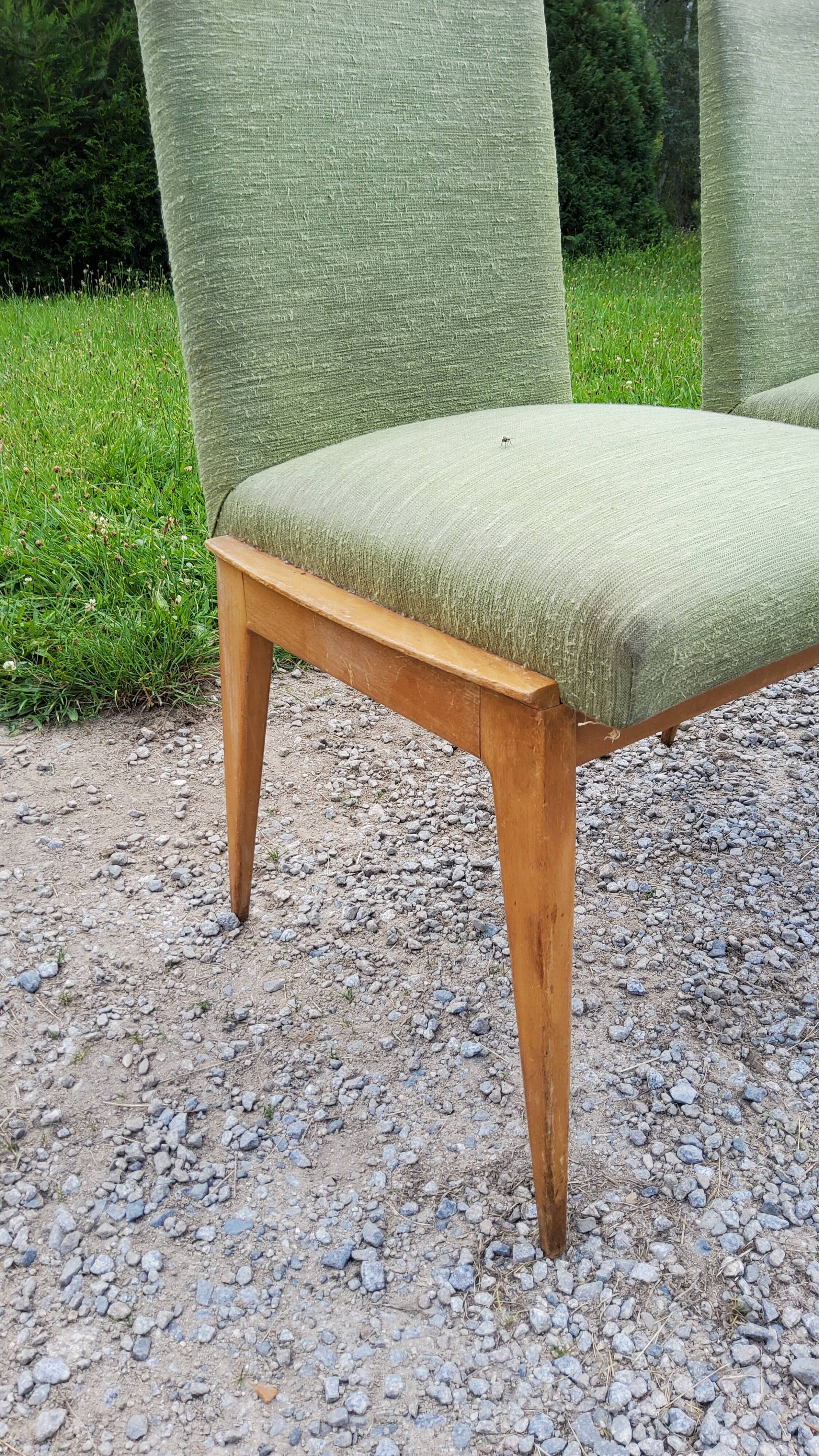 Pair of chairs from the 50s in sycamore tinted beech