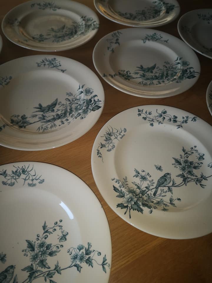 Lot 10 round plates old earthenware longwy Cute birds iron earth ø 23 cm