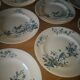 Lot 10 round plates old earthenware longwy Cute birds iron earth ø 23 cm