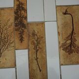 Vintage Ceramic Coffee Table by Roger Capron