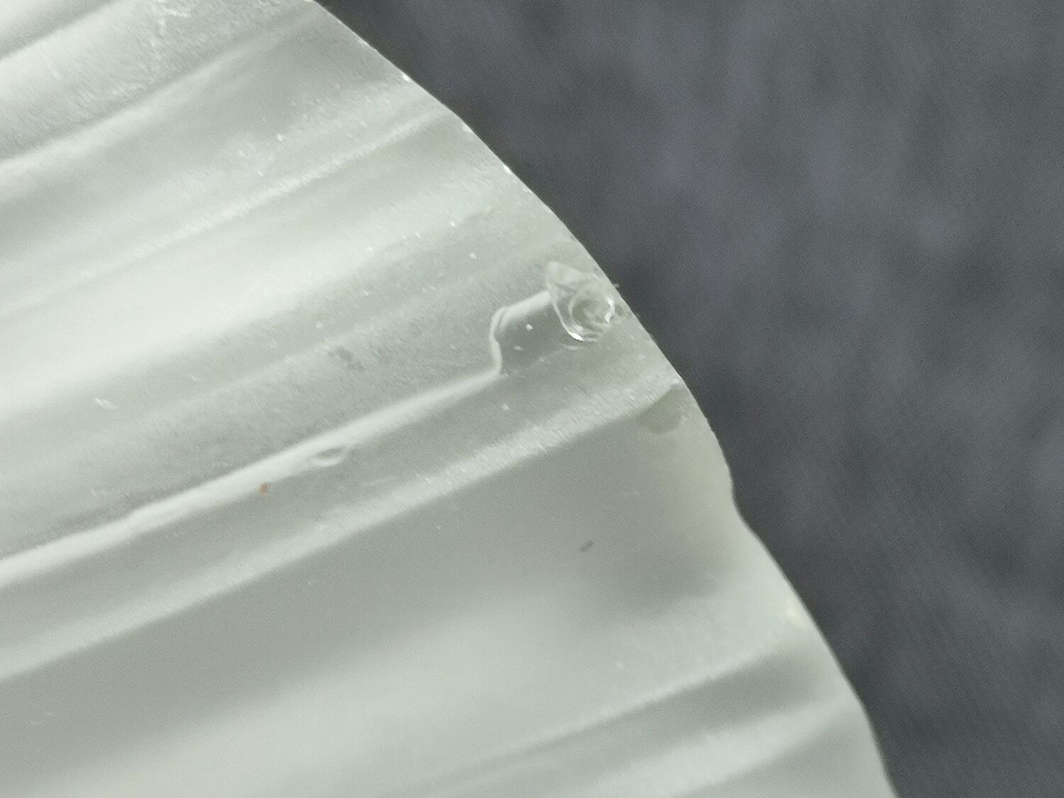 Pair of vintage shell wall lamp