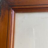 Signed botanical plate/poster under frame