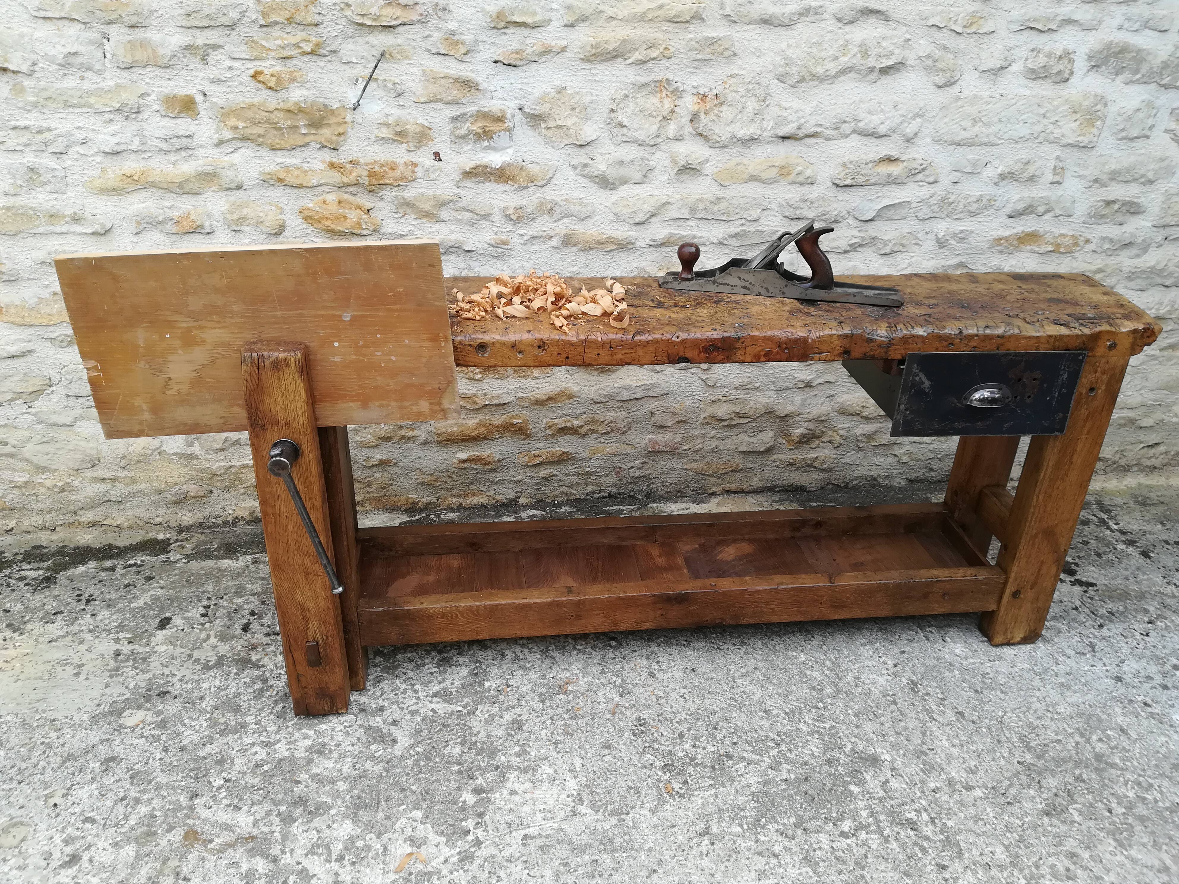 Established in elm and oak