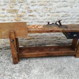 Established in elm and oak