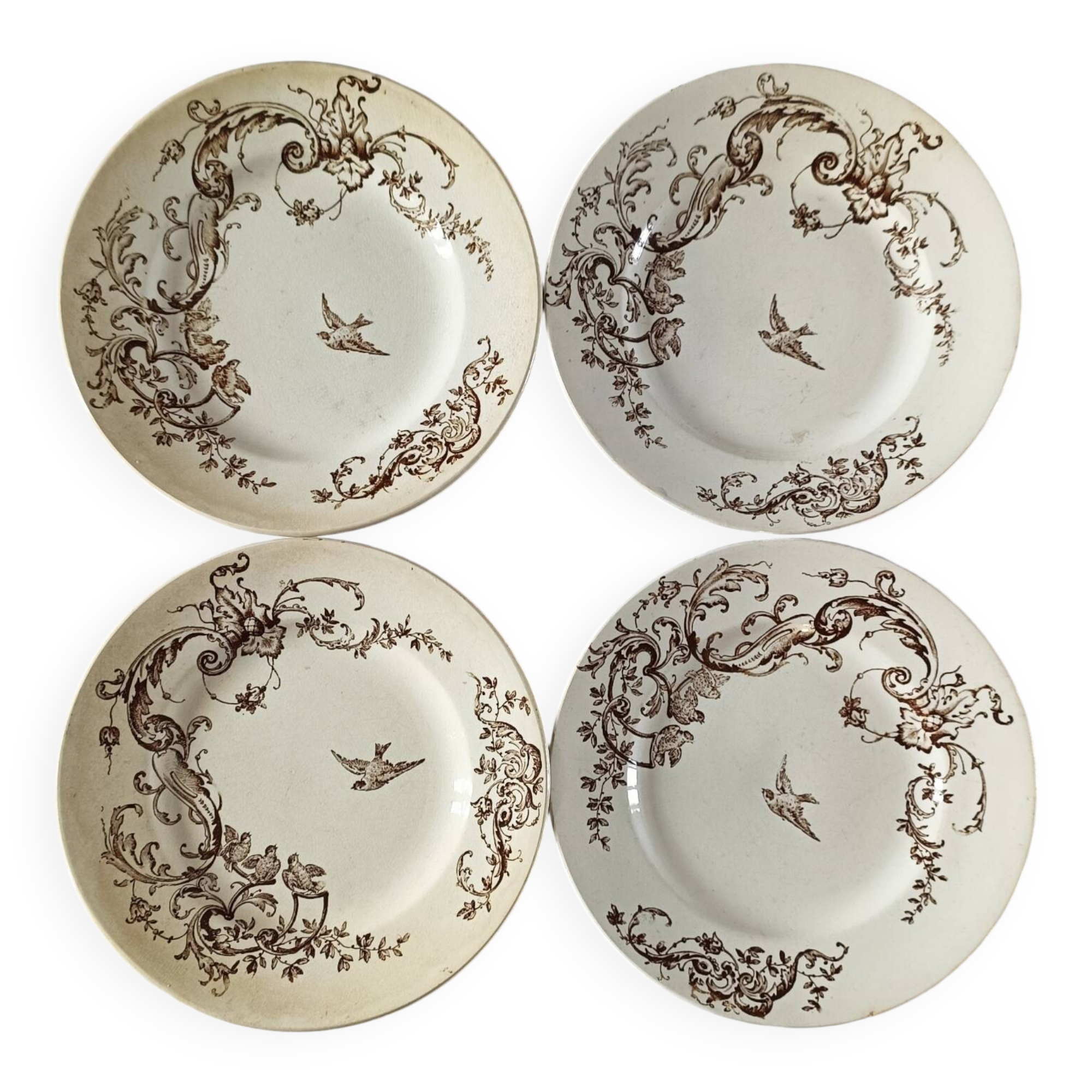 Brown bird flat plates