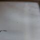 Lithography