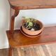 VINTAGE Solid Oak SHELF