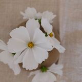 Pique vase Fleurs Vallauris in sandstone