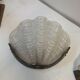 Pair of shell wall lights Art Deco 1930