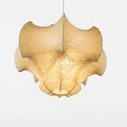 "Viscontea" suspension by Achille and Pier Giacomo Castiglioni