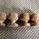 Série de 6 coquetiers en bois