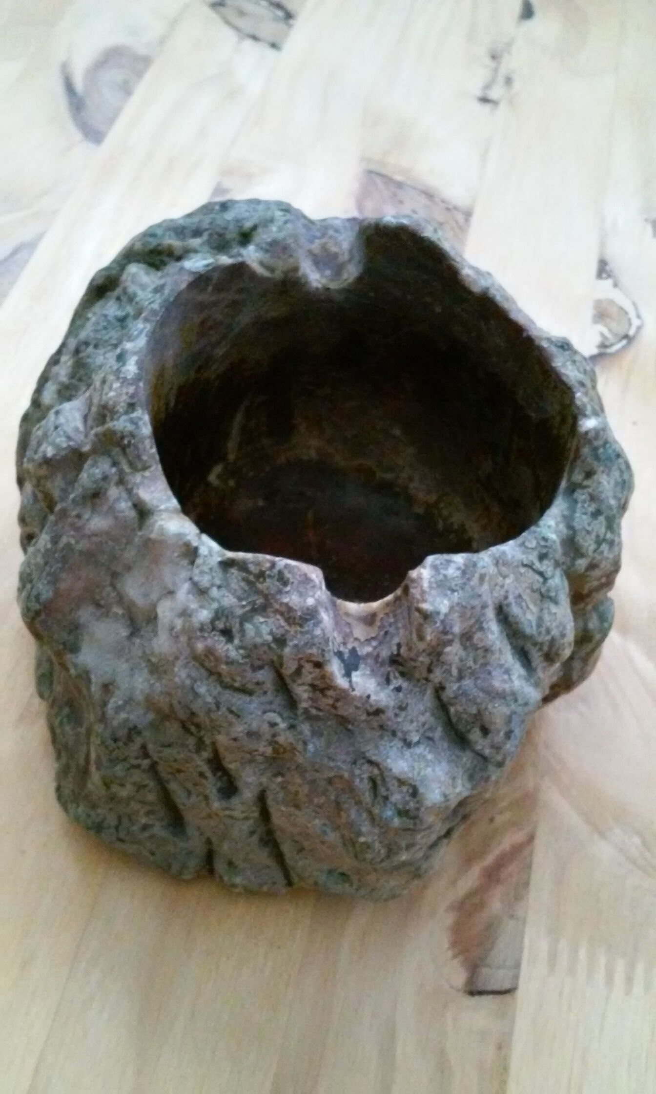 Ashtray in petrified wood