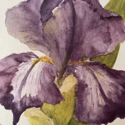 Duo d’aquarelles de Cecil Romey