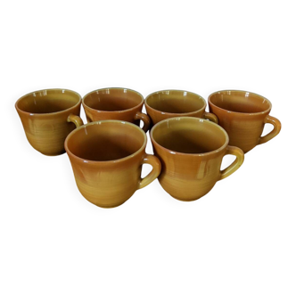 6 tasses Arcopal