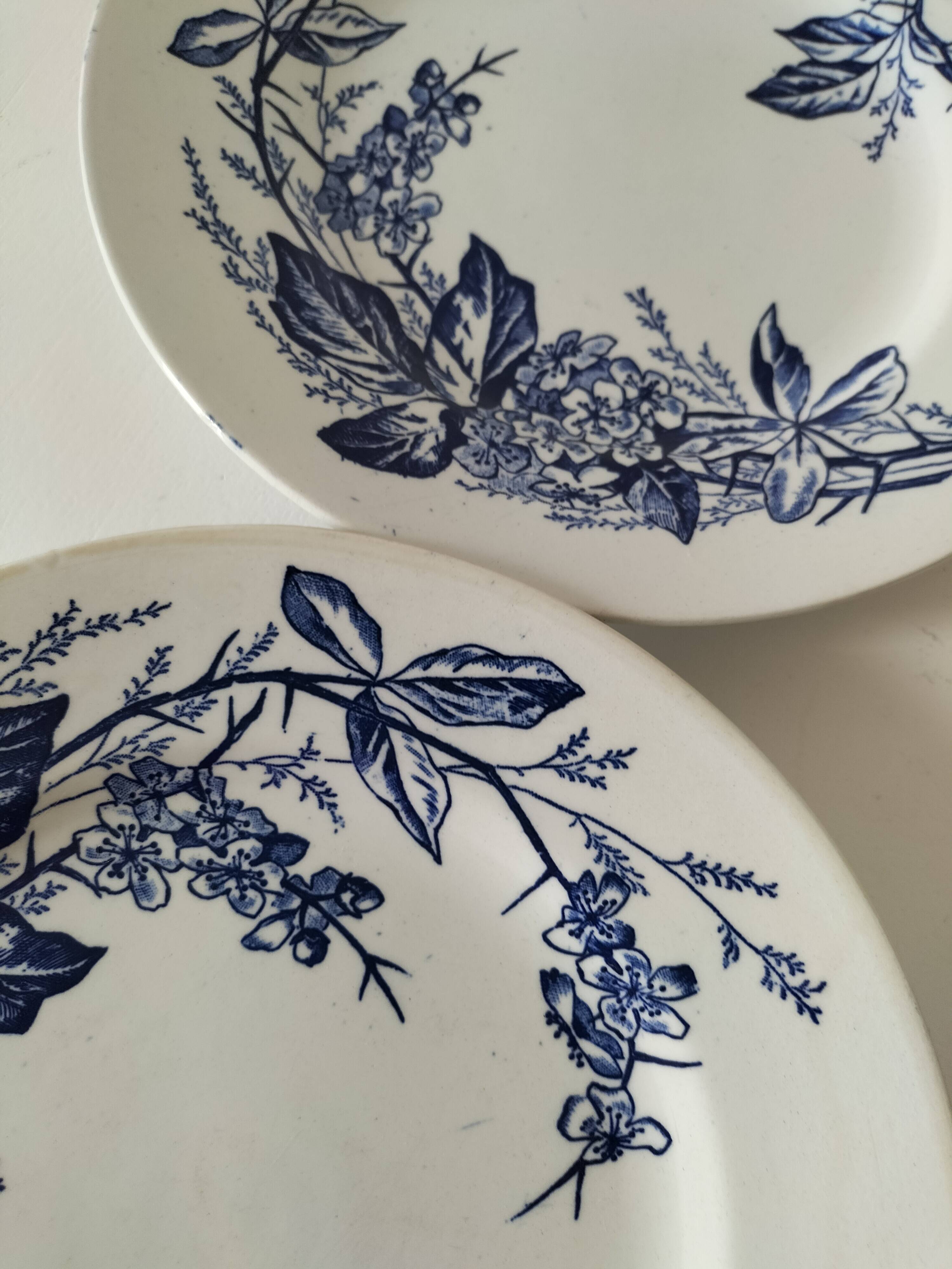 Pair of Longchamp plates 1880-1900 – Rare naturalistic floral decoration