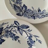 Pair of Longchamp plates 1880-1900 – Rare naturalistic floral decoration