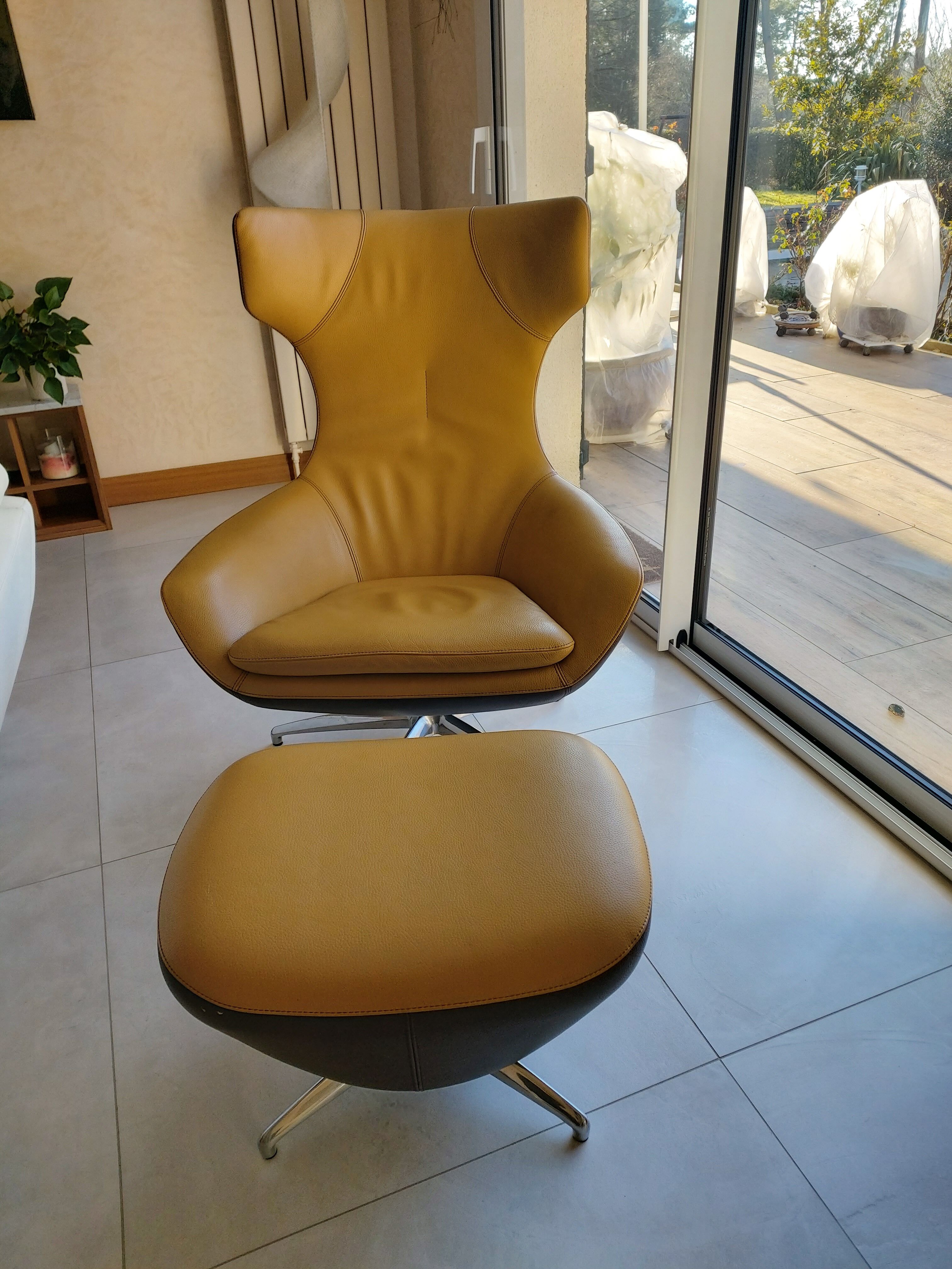 Leolux armchair model Caruzzo Selency