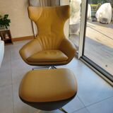 Leolux armchair model Caruzzo