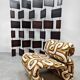 Swedish design Etcetera easy chair vintage Jan Ekselius 1970 'Geometric'