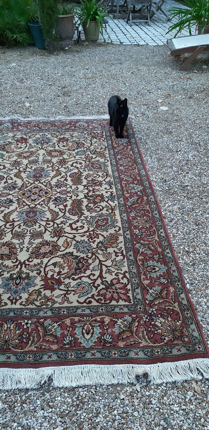 Hand knotted wool carpet