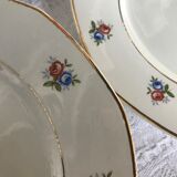 Series of 8 plates Digoin