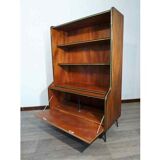 Vintage library