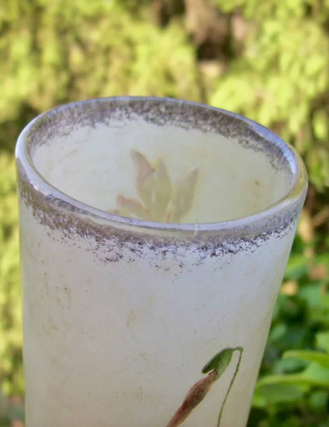 Magnificent Legras Art Nouveau vase from 1900 in frosted enamelled glass.