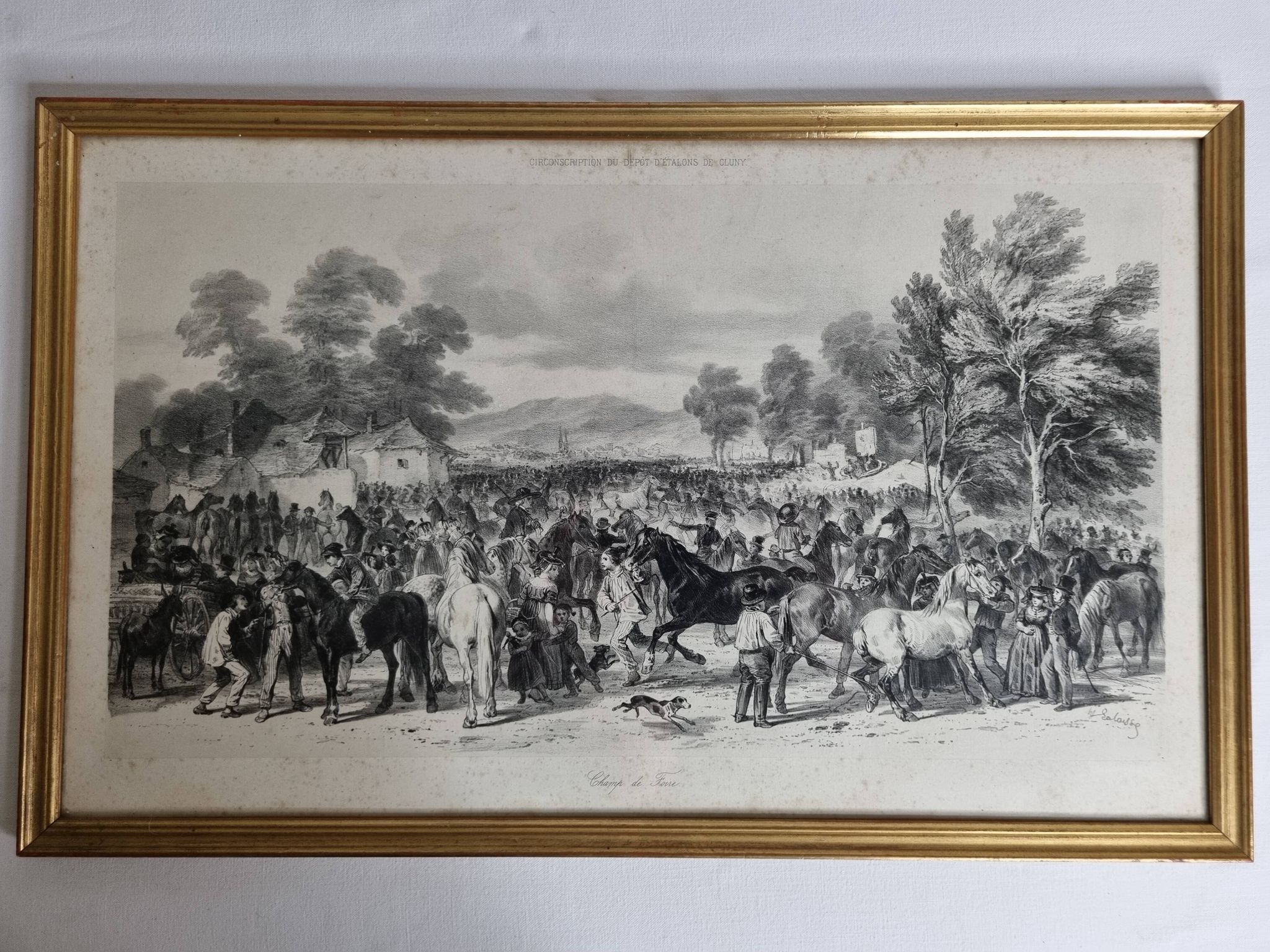 Original framed engraving of the nineteenth after Hippolyte Lalaisse, Cluny Stallion Fair