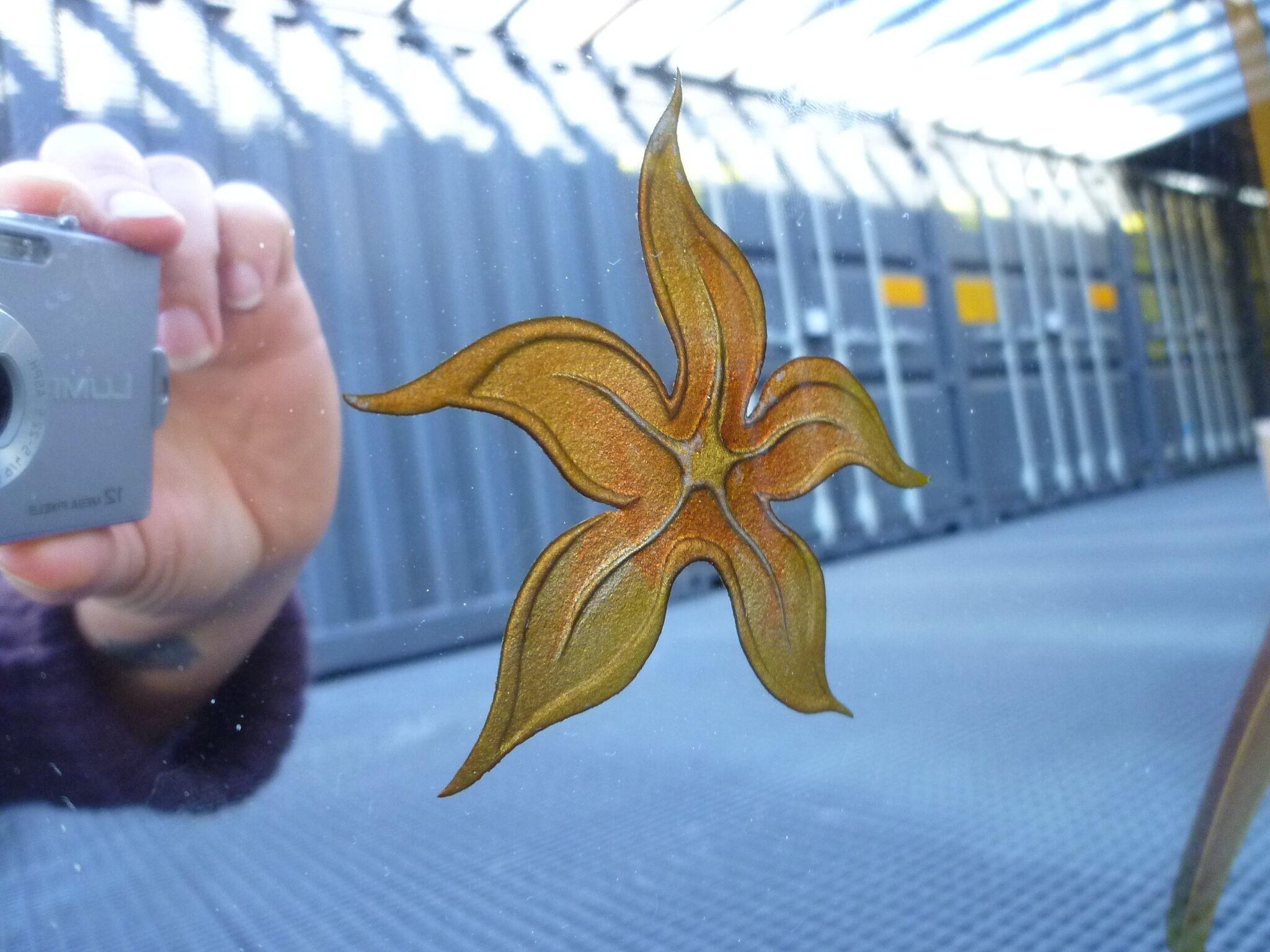 Eglomisé mirror seabed