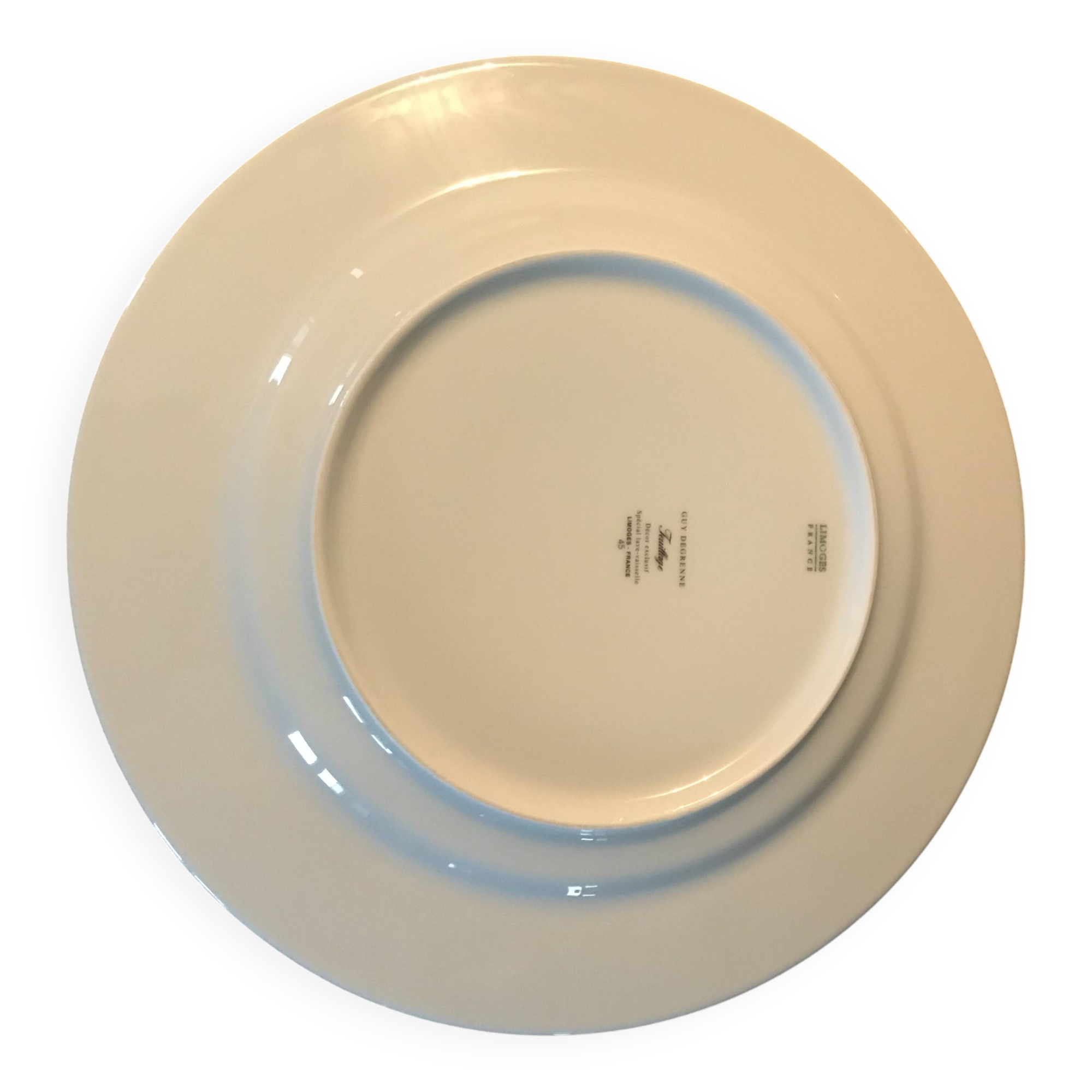 Guy Degrenne porcelain plates