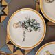 Set of 5 decorative plates Gien by Hughette Sainson