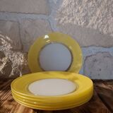 6 Duralex flat plates