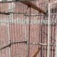 Cage à oiseaux "Fanton, Paris"