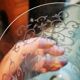 Baccarat engraved crystal "tulip" vase, Erna model.