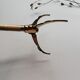 Golden sugar tongs