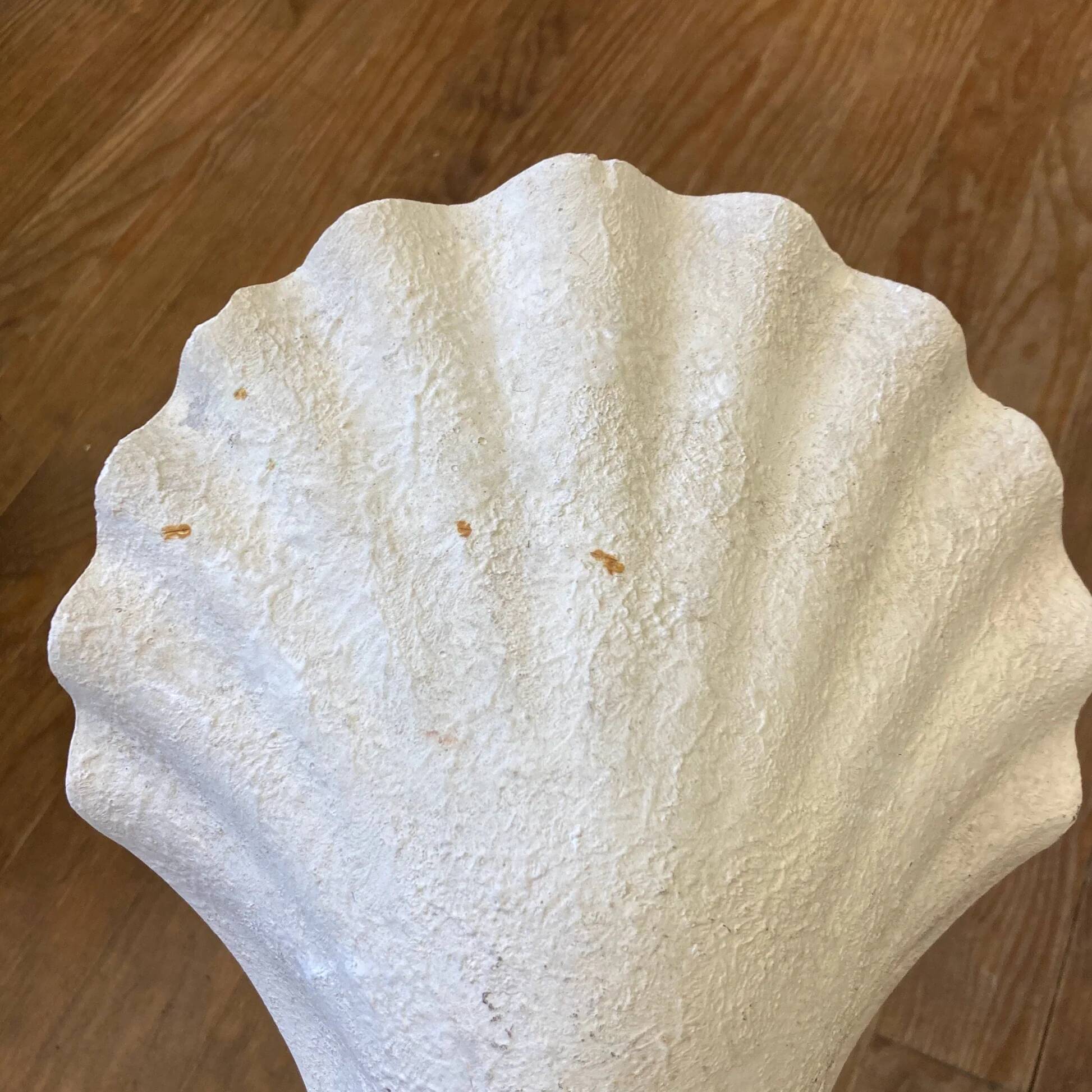 Paire d'appliques d'angle forme coquillage en plâtre MCM