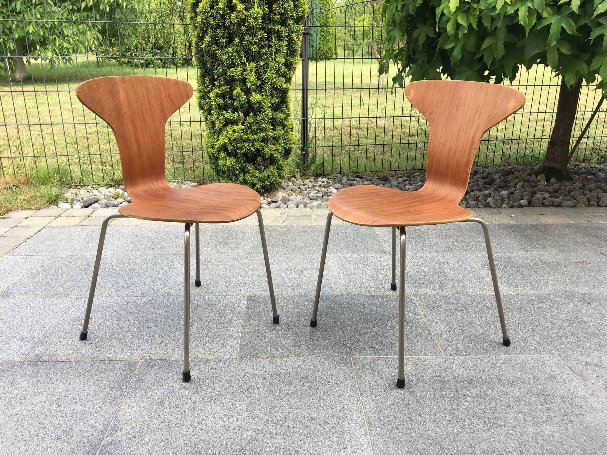 Set of 2 chairs 3105 Mosquito by Arne Jacobsen for Fritz Hansen 50s