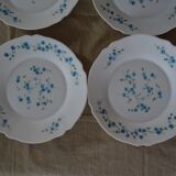 18 Blue Flower Plates VERONICA Arcopal Vintage Lot EB