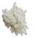 Quartz blanc