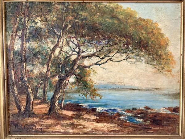 Tableau ancien - La méditerranée, les pins parasol