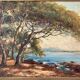 Ancient table - The Mediterranean, the umbrella pines