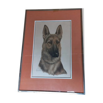 Léon DANCHIN (1887-1938) : GERMAN SHEPHERD Numbered and Signed Lithograph