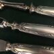 Service to cut the silver leg, mid 19th, Napoleon III
